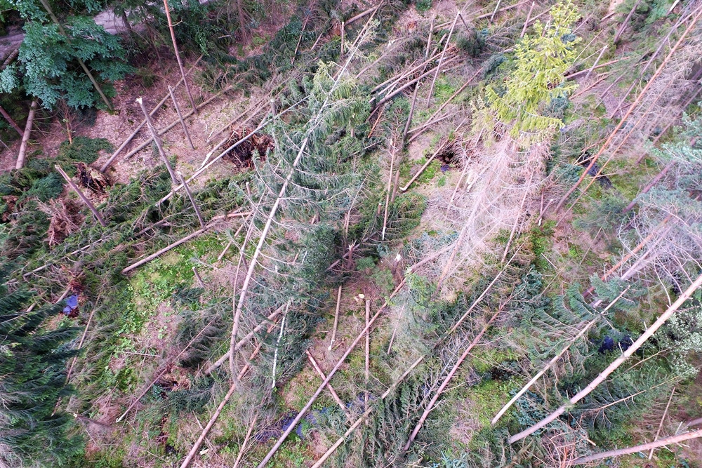 Duże straty po nawałnicy w Leśnictwie Kamionka. Zobacz zdjęcia i film z drona