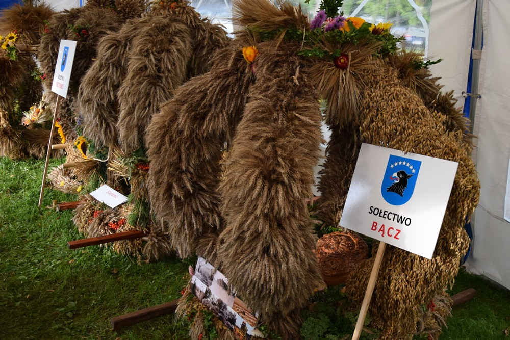 Dożynki gm. Kartuzy. Sołectwo Kiełpino z najpiękniejszą koroną żniwną