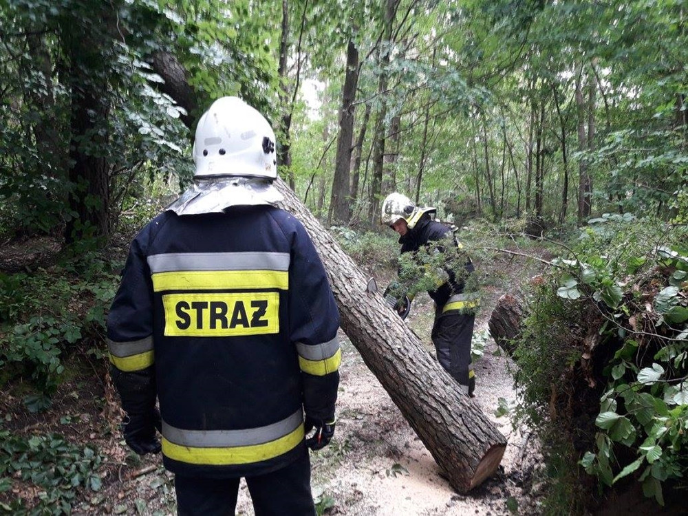Strażacy - bohaterowie największej akcji ratowniczej w powiecie. To zdjęcie mówi wszystko