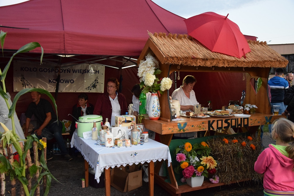 Przodkowo. Krzysztof Krawczyk wystąpił na gminno-parafialnych dożynkach