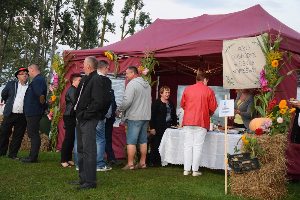 Przodkowo. Krzysztof Krawczyk wystąpił na gminno-parafialnych dożynkach
