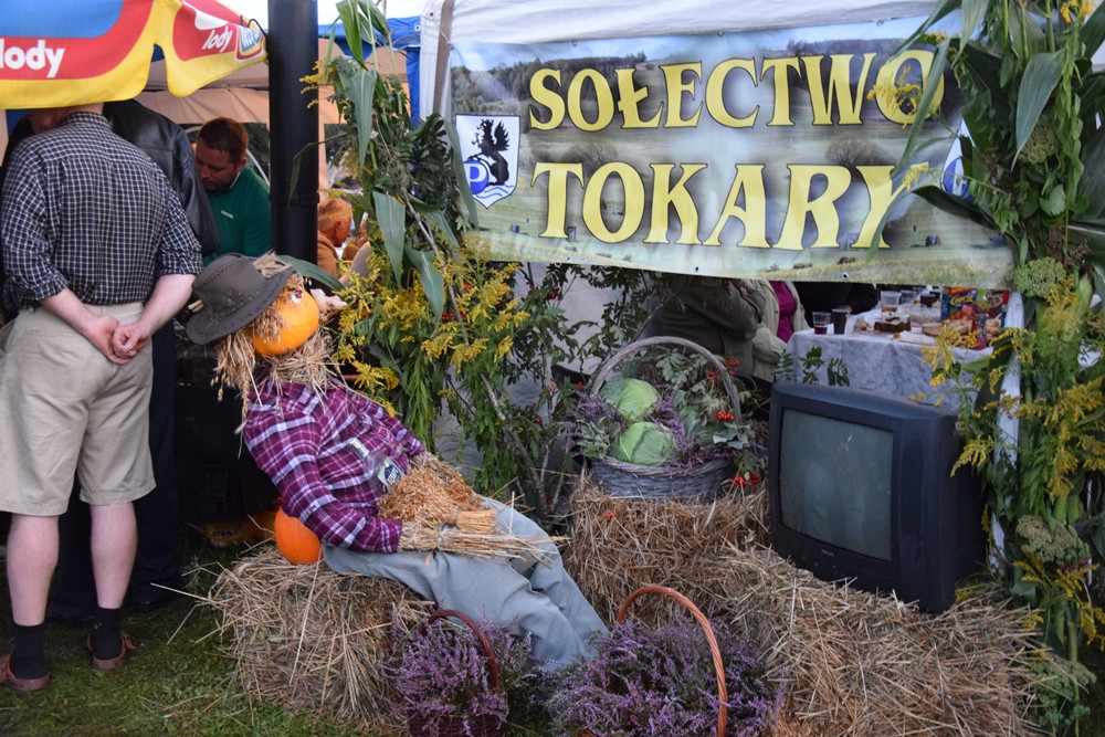 Przodkowo. Krzysztof Krawczyk wystąpił na gminno-parafialnych dożynkach