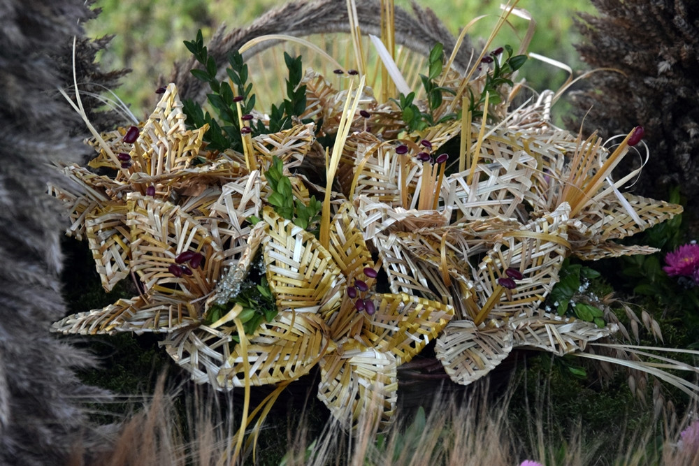 Przodkowo. Krzysztof Krawczyk wystąpił na gminno-parafialnych dożynkach