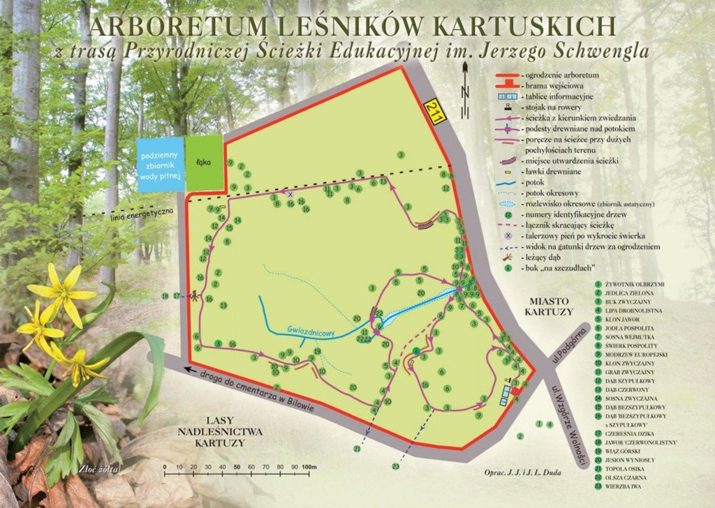 Wyjątkowy przyrodniczy zakątek w Kartuzach. Zapraszamy na spacer po Arboretum