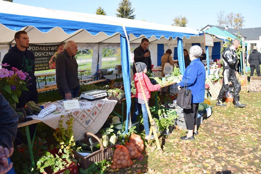 Kartuzy. Park Solidarności zamienił się w kolorowy targ z ekologicznymi produktami