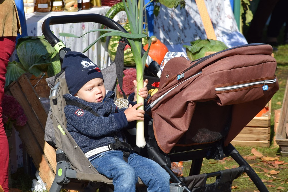 Kartuzy. Park Solidarności zamienił się w kolorowy targ z ekologicznymi produktami