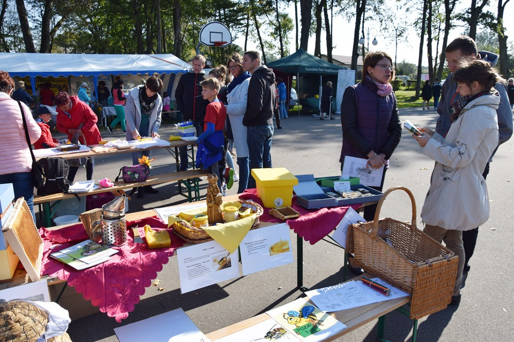 Kartuzy. Park Solidarności zamienił się w kolorowy targ z ekologicznymi produktami