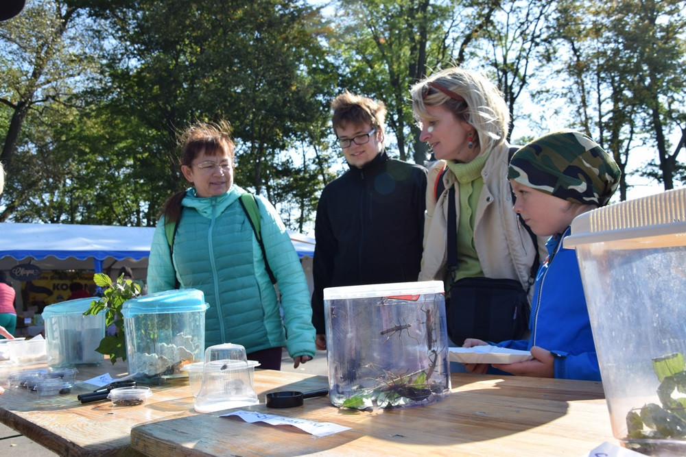Kartuzy. Park Solidarności zamienił się w kolorowy targ z ekologicznymi produktami