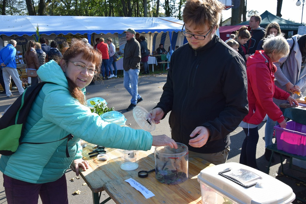 Kartuzy. Park Solidarności zamienił się w kolorowy targ z ekologicznymi produktami