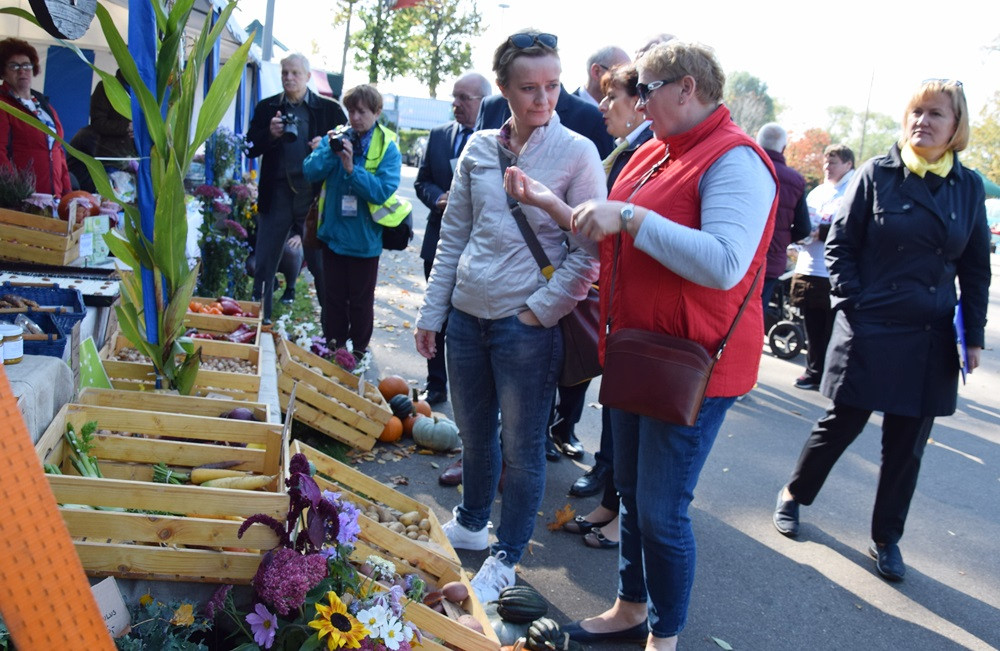 Kartuzy. Park Solidarności zamienił się w kolorowy targ z ekologicznymi produktami