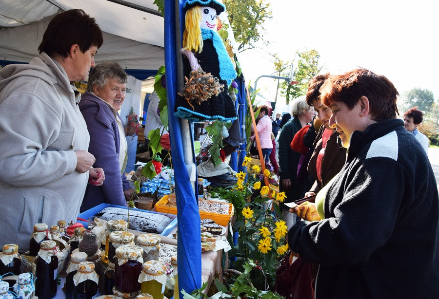 Kartuzy. Park Solidarności zamienił się w kolorowy targ z ekologicznymi produktami