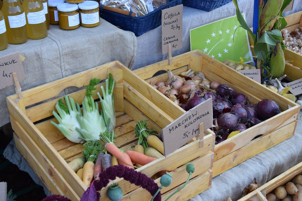 Kartuzy. Park Solidarności zamienił się w kolorowy targ z ekologicznymi produktami