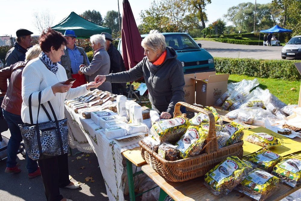 Kartuzy. Park Solidarności zamienił się w kolorowy targ z ekologicznymi produktami