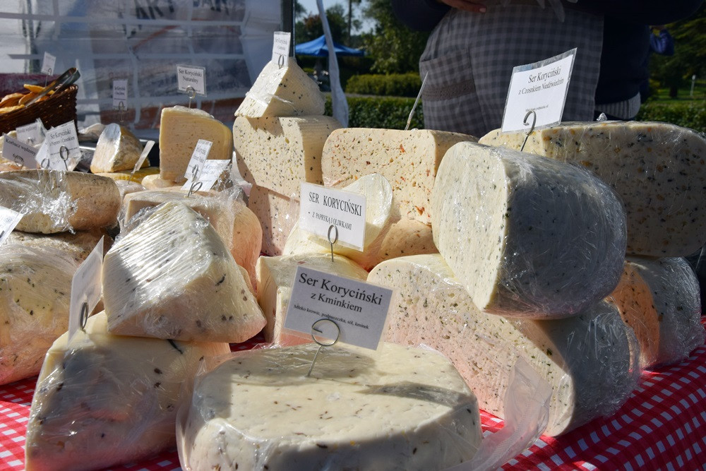 Kartuzy. Park Solidarności zamienił się w kolorowy targ z ekologicznymi produktami