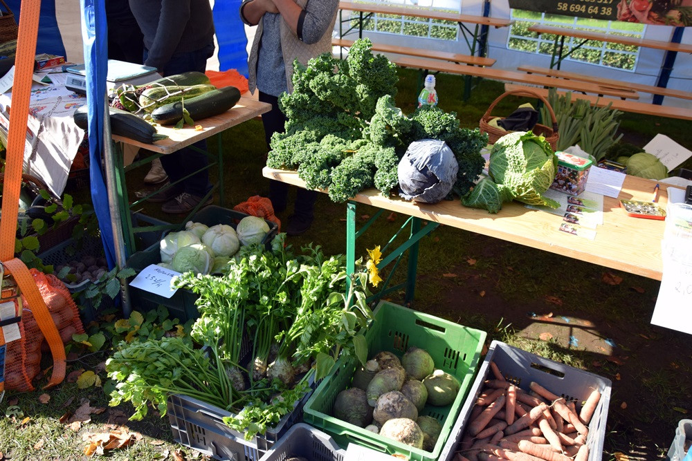 Kartuzy. Park Solidarności zamienił się w kolorowy targ z ekologicznymi produktami