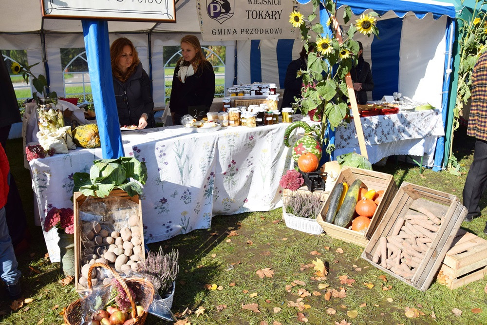 Kartuzy. Park Solidarności zamienił się w kolorowy targ z ekologicznymi produktami