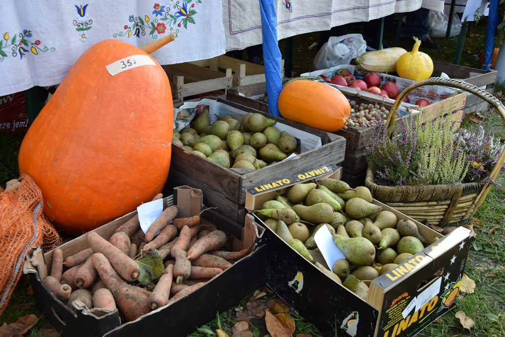 Kartuzy. Park Solidarności zamienił się w kolorowy targ z ekologicznymi produktami