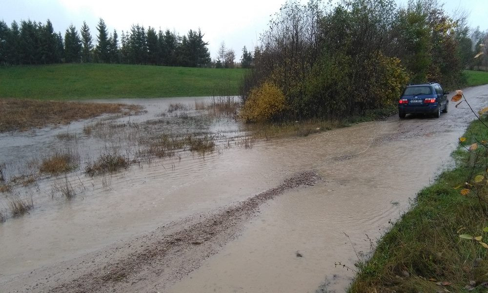 Powalone drzewa i sporo podtopień, głównie w rejonie Żukowa i Banina