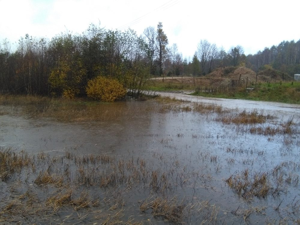 Powalone drzewa i sporo podtopień, głównie w rejonie Żukowa i Banina