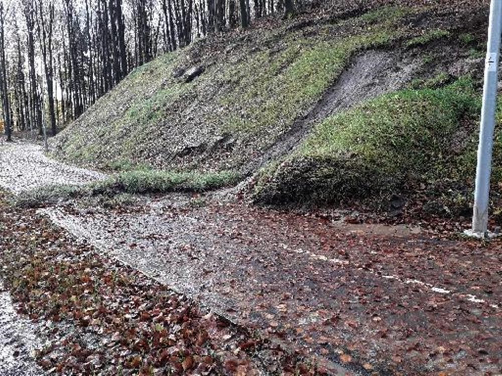 Powalone drzewa i sporo podtopień, głównie w rejonie Żukowa i Banina