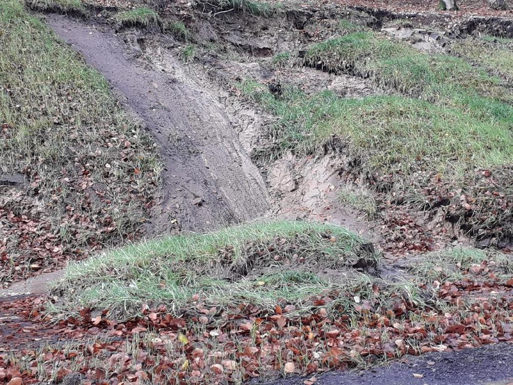 Powalone drzewa i sporo podtopień, głównie w rejonie Żukowa i Banina