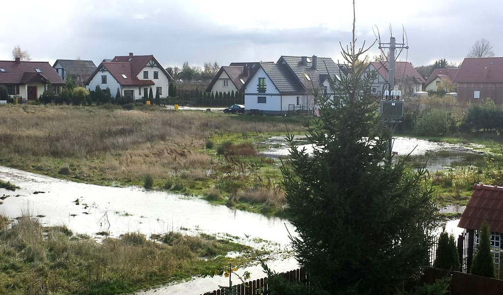 Powalone drzewa i sporo podtopień, głównie w rejonie Żukowa i Banina