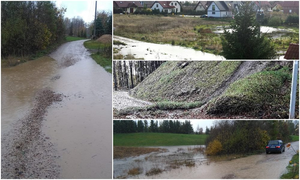 Powalone drzewa i sporo podtopień, głównie w rejonie Żukowa i Banina