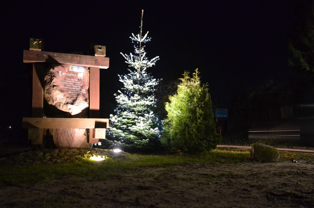 Gwiazdy, fontanny, bałwanki i choinki. Świąteczne iluminacje w powiecie kartuskim