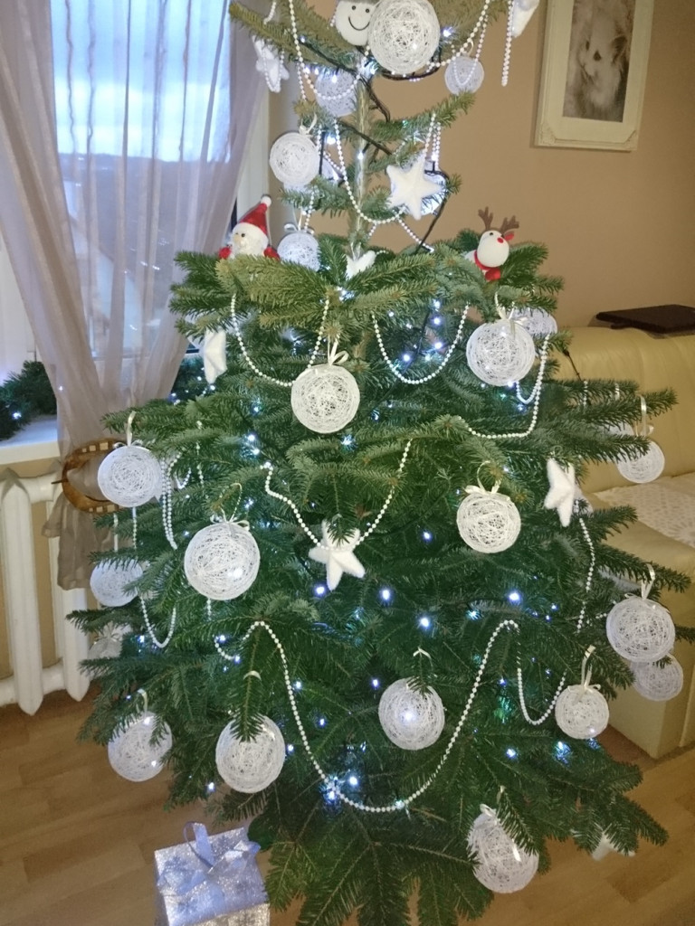 Tworzymy galerię choinek. Pochwal się swoim świątecznym drzewkiem!