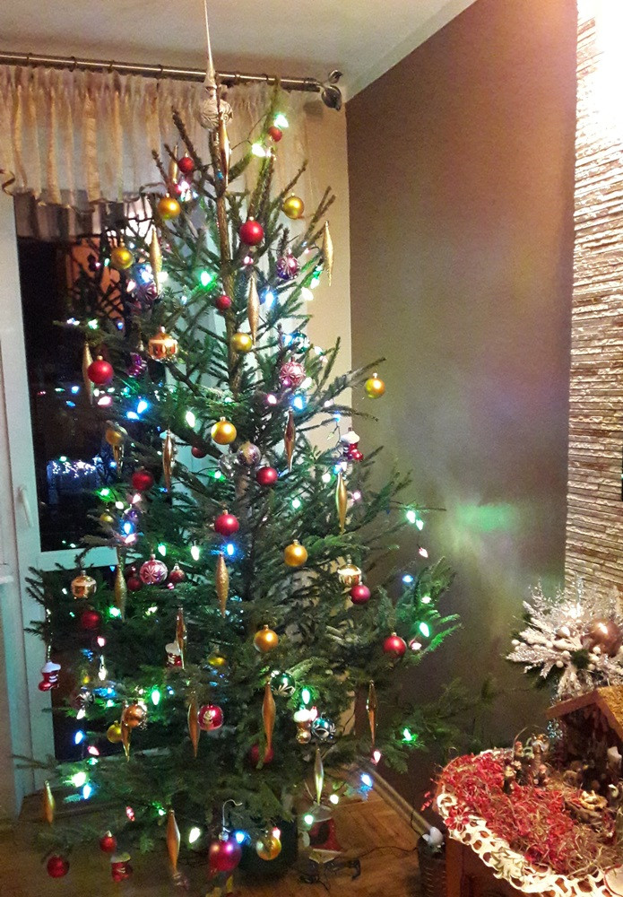 Tworzymy galerię choinek. Pochwal się swoim świątecznym drzewkiem!