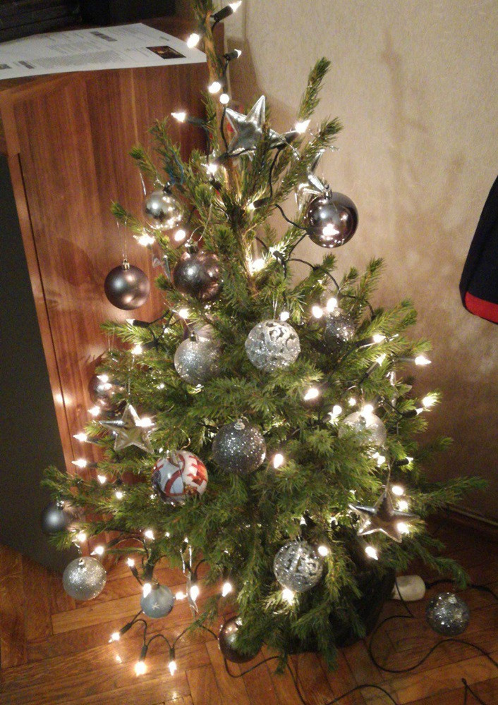 Tworzymy galerię choinek. Pochwal się swoim świątecznym drzewkiem!