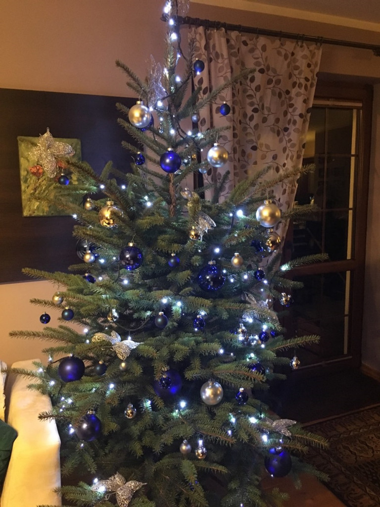 Tworzymy galerię choinek. Pochwal się swoim świątecznym drzewkiem!