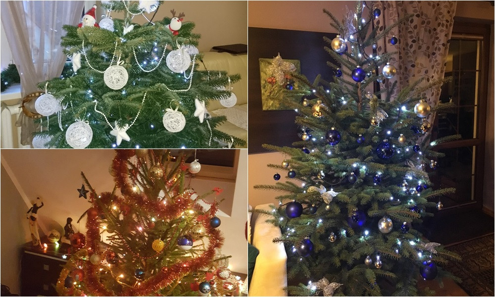 Tworzymy galerię choinek. Pochwal się swoim świątecznym drzewkiem!