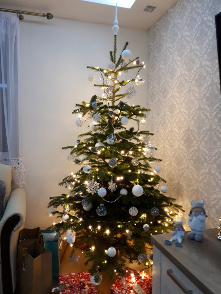 Tworzymy galerię choinek. Pochwal się swoim świątecznym drzewkiem!