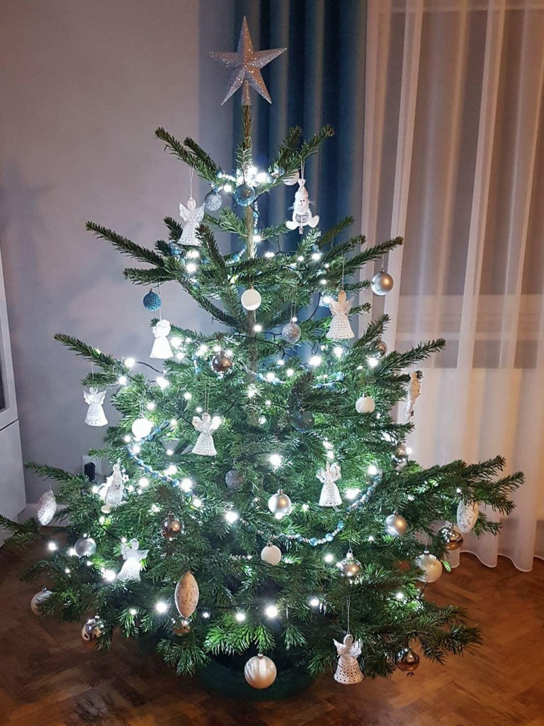 Tworzymy galerię choinek. Pochwal się swoim świątecznym drzewkiem!