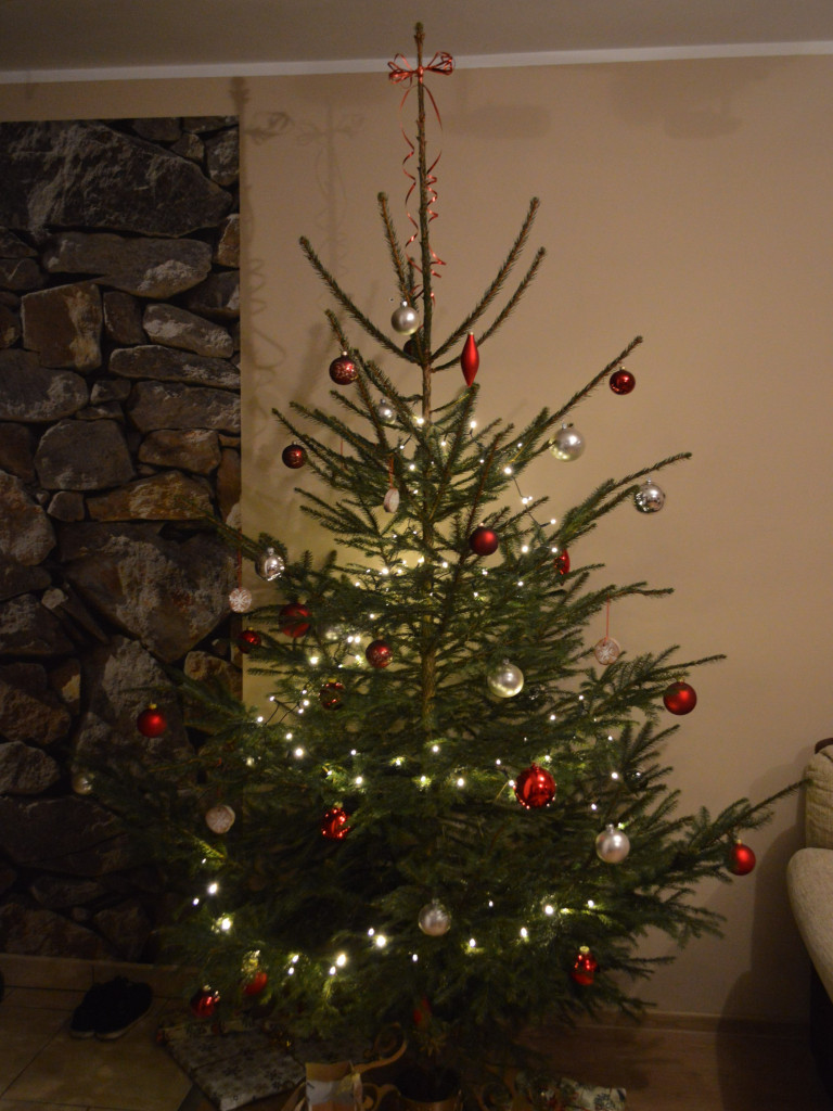 Tworzymy galerię choinek. Pochwal się swoim świątecznym drzewkiem!