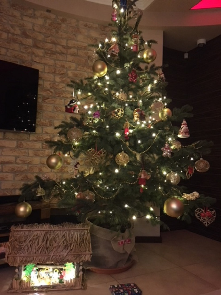 Tworzymy galerię choinek. Pochwal się swoim świątecznym drzewkiem!