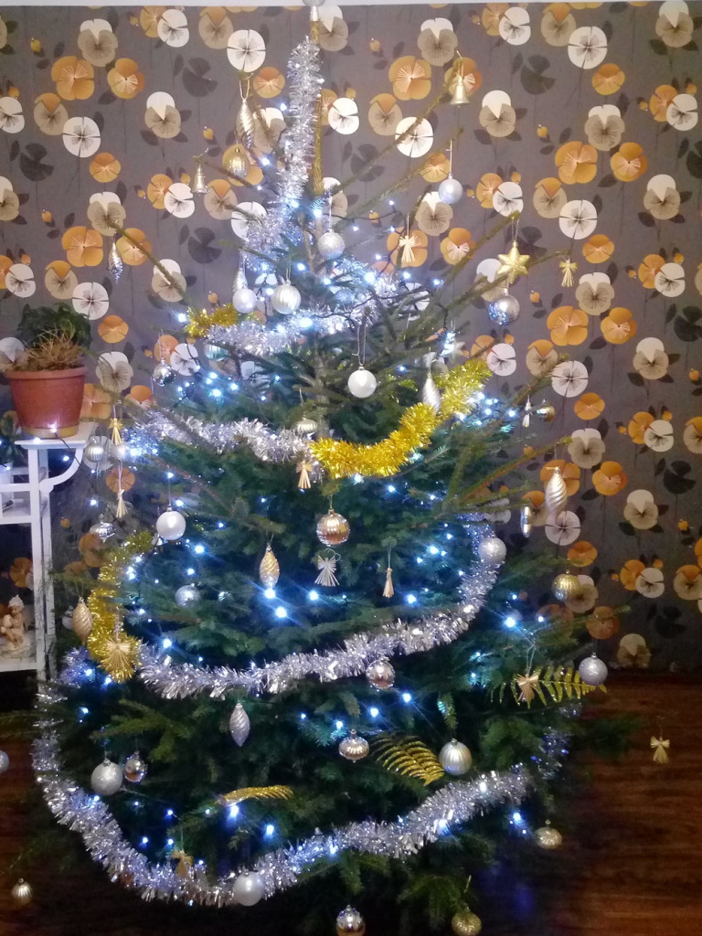 Tworzymy galerię choinek. Pochwal się swoim świątecznym drzewkiem!