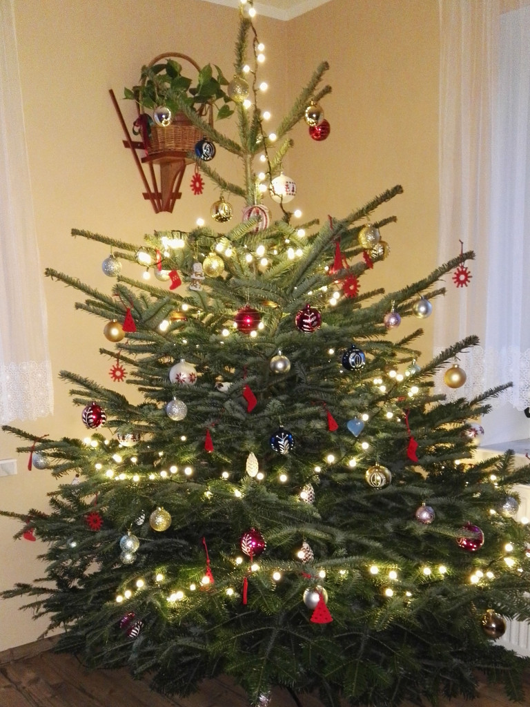 Tworzymy galerię choinek. Pochwal się swoim świątecznym drzewkiem!