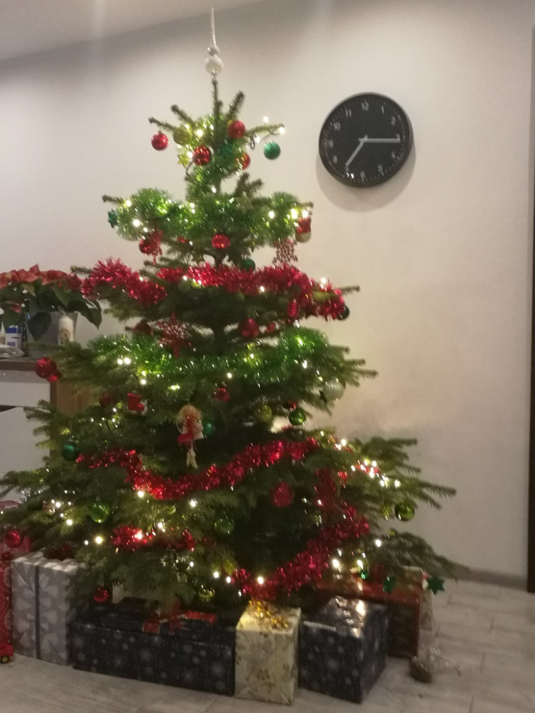 Tworzymy galerię choinek. Pochwal się swoim świątecznym drzewkiem!