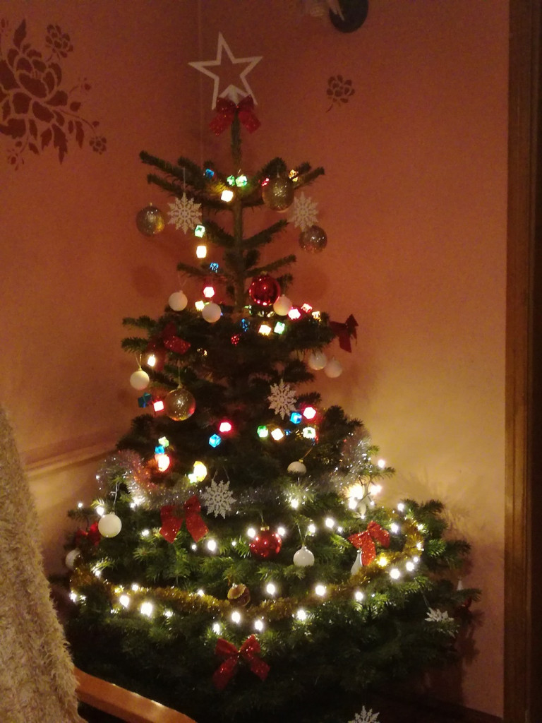 Tworzymy galerię choinek. Pochwal się swoim świątecznym drzewkiem!