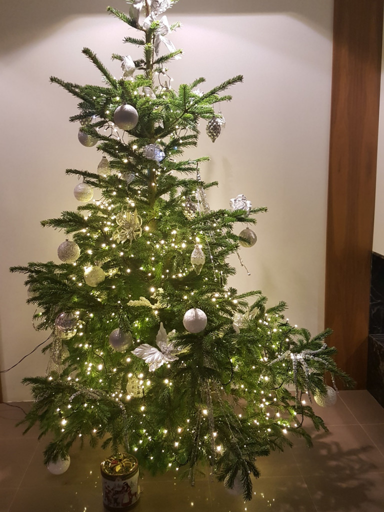 Tworzymy galerię choinek. Pochwal się swoim świątecznym drzewkiem!