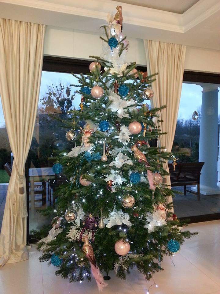 Tworzymy galerię choinek. Pochwal się swoim świątecznym drzewkiem!