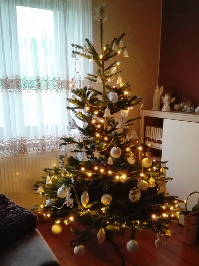 Tworzymy galerię choinek. Pochwal się swoim świątecznym drzewkiem!