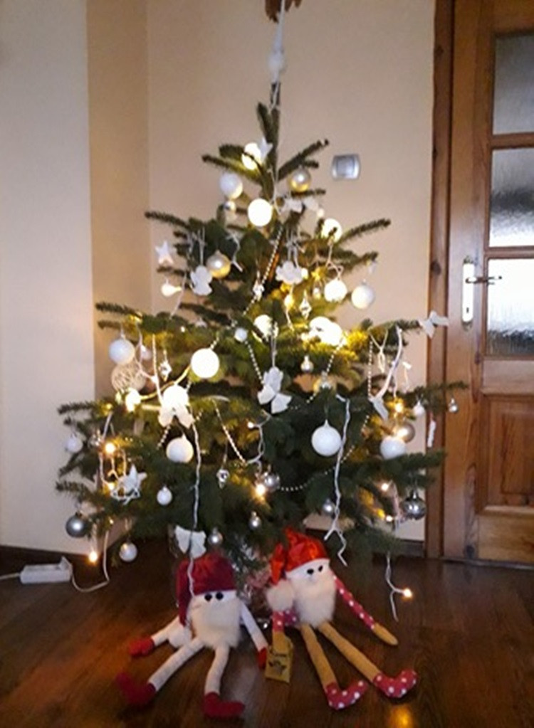 Tworzymy galerię choinek. Pochwal się swoim świątecznym drzewkiem!