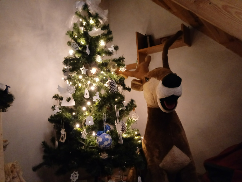 Tworzymy galerię choinek. Pochwal się swoim świątecznym drzewkiem!