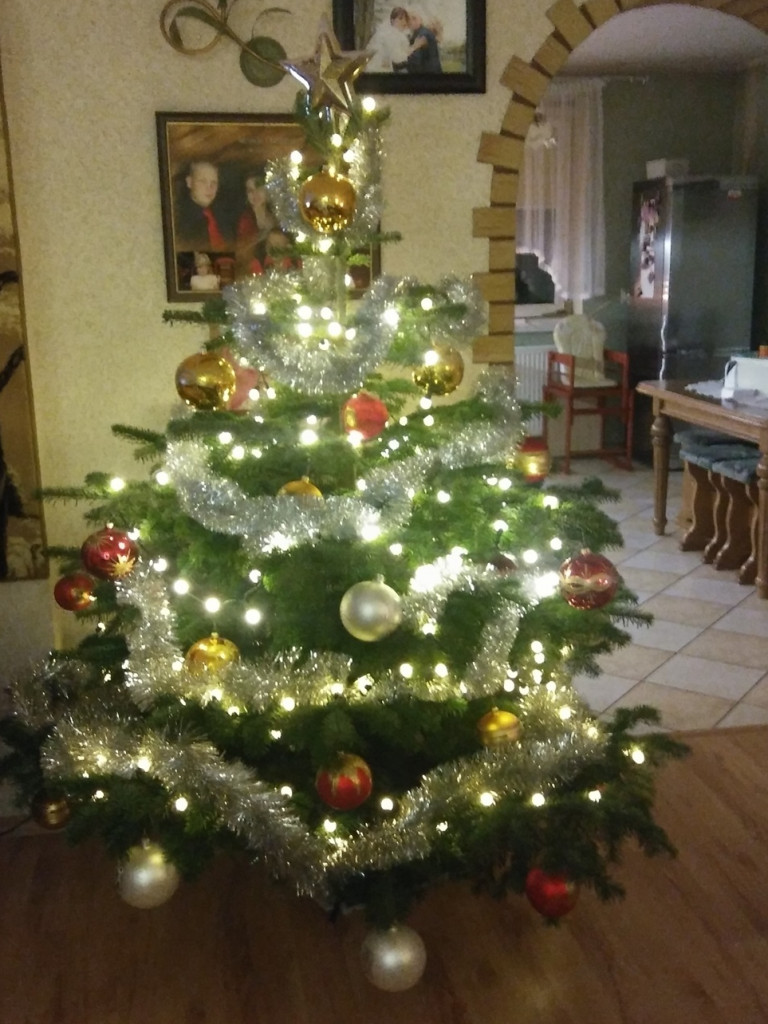 Tworzymy galerię choinek. Pochwal się swoim świątecznym drzewkiem!