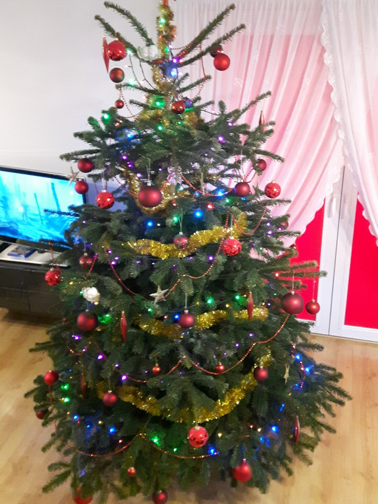 Tworzymy galerię choinek. Pochwal się swoim świątecznym drzewkiem!