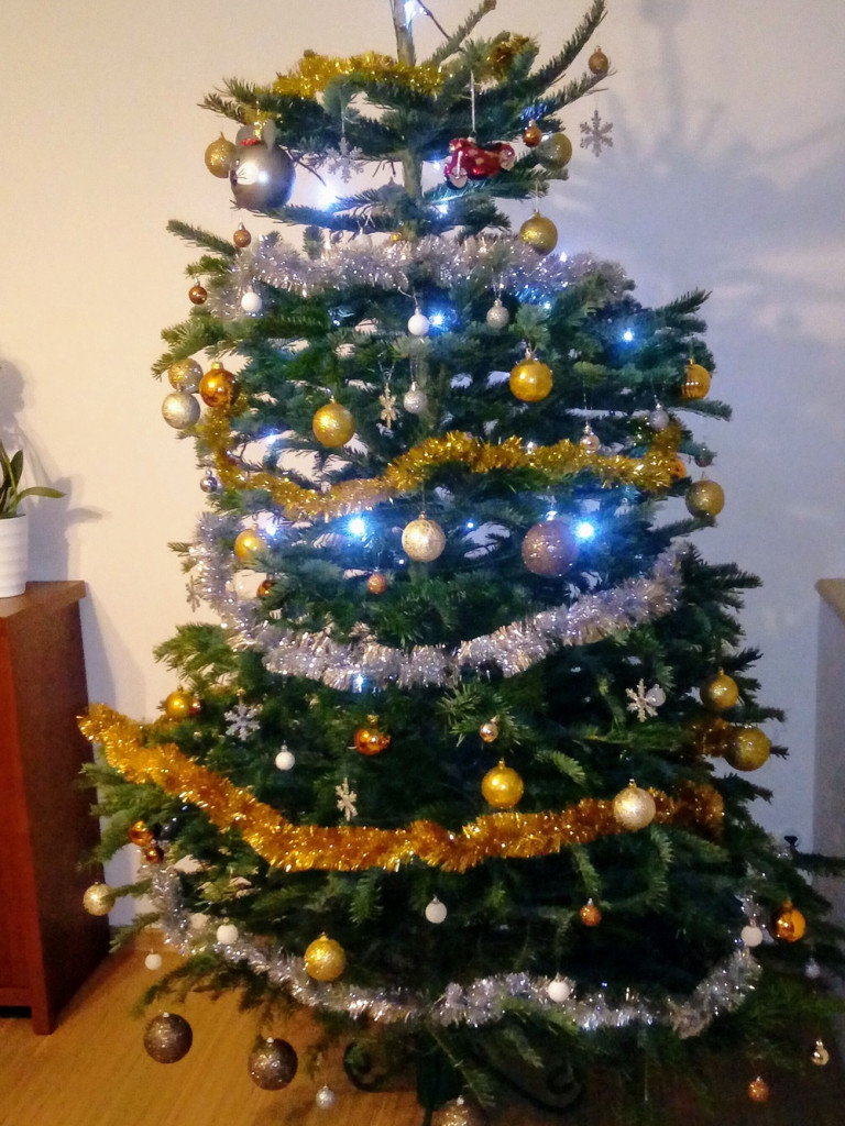 Tworzymy galerię choinek. Pochwal się swoim świątecznym drzewkiem!