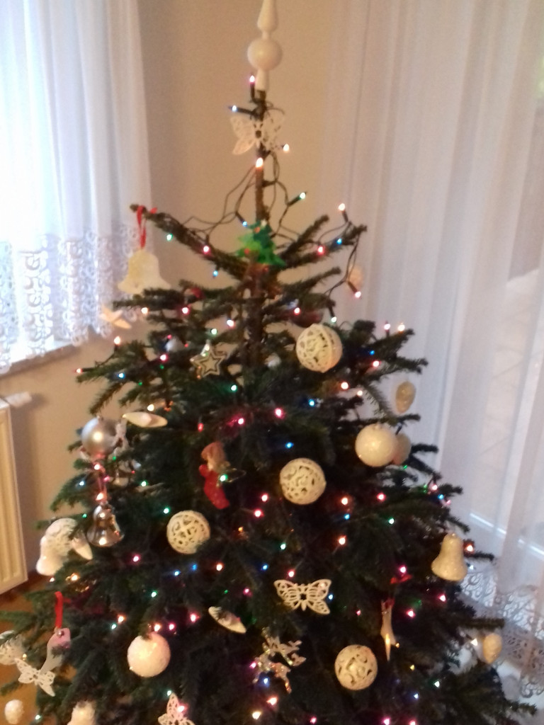 Tworzymy galerię choinek. Pochwal się swoim świątecznym drzewkiem!